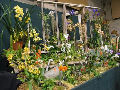 RHS International Orchid Show
