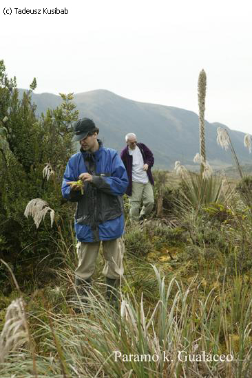 Paramo k. Gualaceo
