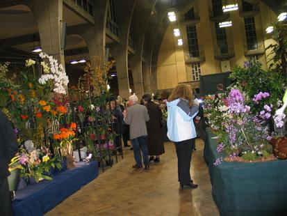 RHS International Orchid Show
