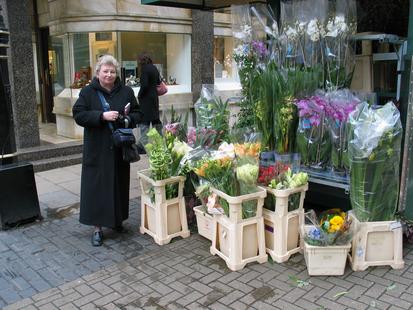 RHS International Orchid Show
