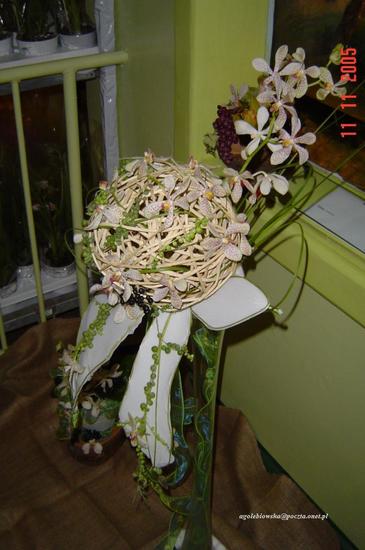 Dni Orchidei
